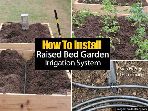 How To Install A Raised Bed Garden Irrigation System Step By Step