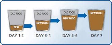 Changes to your dog's diet should be made gradually. How Do I Switch or Transition Foods for My Dog? | Hill's Pet