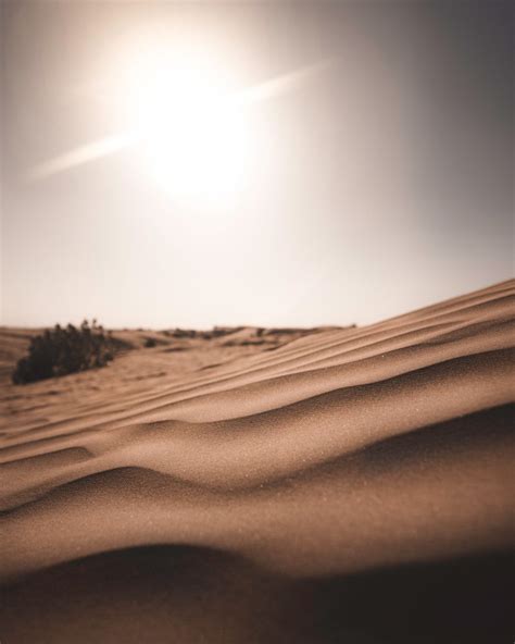 Download This Free Hd Photo Of Sand Sun Sky And Desert In Dubai