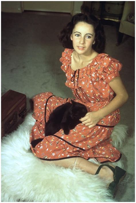Elizabeth Taylor Starred In The Courage Of Lassie 1946