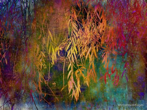 Wild Willow By Enchantedimages Redbubble