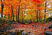 Fascinating Facts About Autumn | Reader's Digest