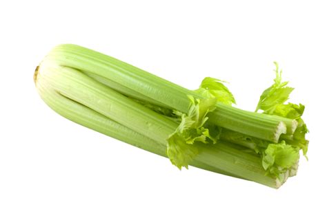 Celery Png Transparent Image Download Size 800x536px