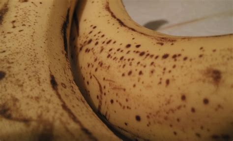 банановая эпидемия Banana Fruit Food Essen Bananas Meals Fanny