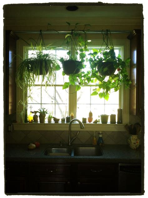 Hang Plants In Your Kitchen Window Without Putting Any Holes In Drywall