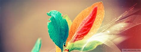Colorful Leaves Graphic Facebook Cover Photo