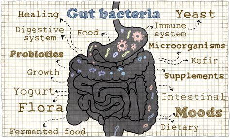 Probiotic Side Effects Heres What You Should Know Centermd