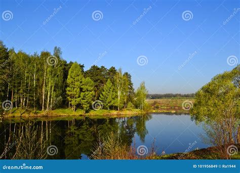 Forest And Sky Reflected In The Calm Blue Water Of Lake Forest Early