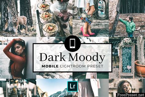 Lightroom cc mobile tutorial : Mobile Lightroom Preset Dark Moody 3320008