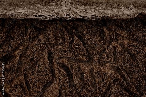 Underground Brown Soil Texture Background Stock Photo Adobe Stock