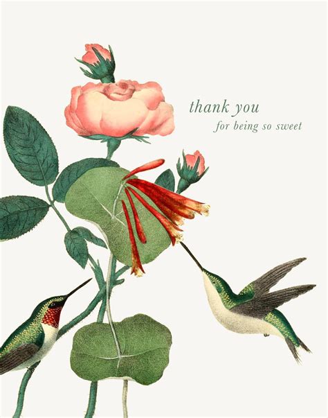 Thank You For Being So Sweet A 2 Greeting Card P Flynn Design