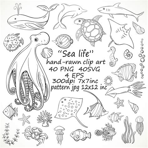 Hand Drawn Sea Life Clipartsvg Sea Animals Clipartpng Ocean Life