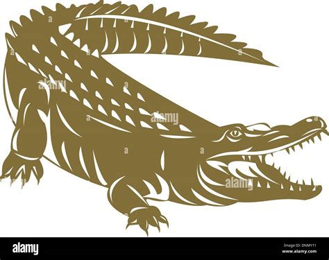 Alligator Stock Vector Images Alamy