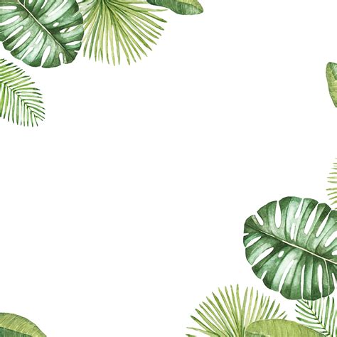Tropical Png Pack Png Image Collection