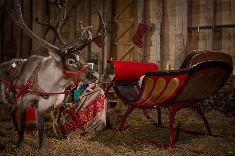 Hire Santa With Real Reindeer In London And Nearby Areas