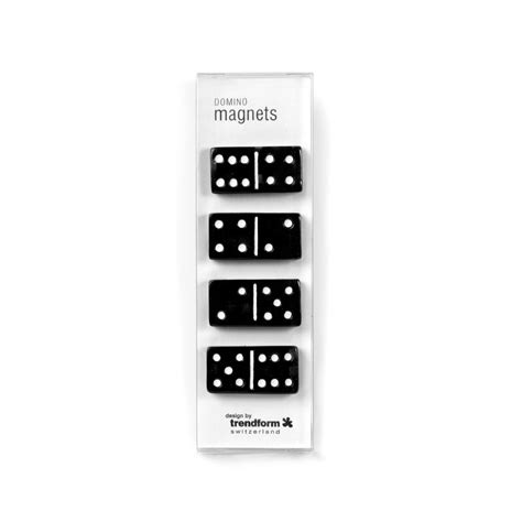 Assorted Popular Shape Office Magnets Domino Available 100715
