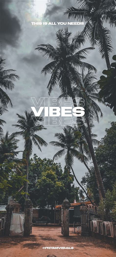 The Cover Of This Is All You Need To Know About Vibes And Vibes