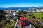 14 Things to Do in Wellington, New Zealand | Celebrity Cruises