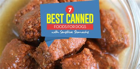 Check spelling or type a new query. Top 7 Best Canned Dog Food for Sensitive Stomach (2018 Review)