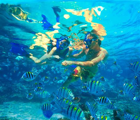 Difference Between Snorkeling And Scuba Diving Compare The Difference Between Similar Terms