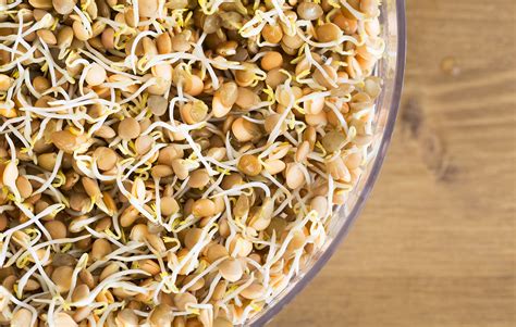 Sprout This - Sprouting Superfoods for Life - Naturalcave.com