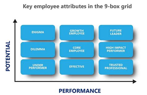 Talent Management And The 9 Box Grid What You Must Know Tmi