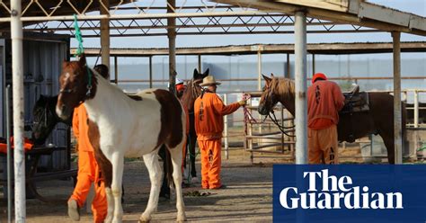 Wild Horses Tamed By Prisoners In Pictures Art And Design The