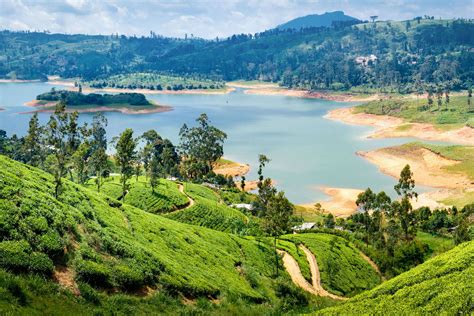 Intravelreport Sri Lanka Tourism Regaining Momentum Getting Over