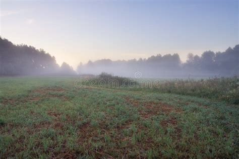 Foggy Meadow Sunrise Stock Photo Image Of Season Grass 51353740