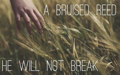 A Bruised Reed He Will Not Break 291017 Faithlife Sermons