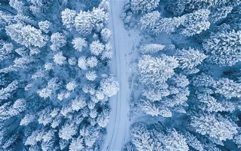 Download Wallpapers Winter Forest Snow Road In The Forest Aerial