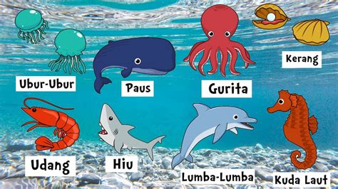 Nama Nama Hewan Laut 💖 Belajar Mengenal Nama Hewan 💖 Youtube