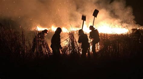 Pompierii Isu Delta Tulcea Se Lupt Cu Un Incendiu La Somova Delta Dun Rii News