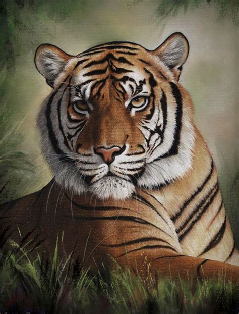 This amazing prey animal is hard to draw because of all of the stripes on. Pastel Pencil Art Techniques by Colin Bradley: Learn How ...