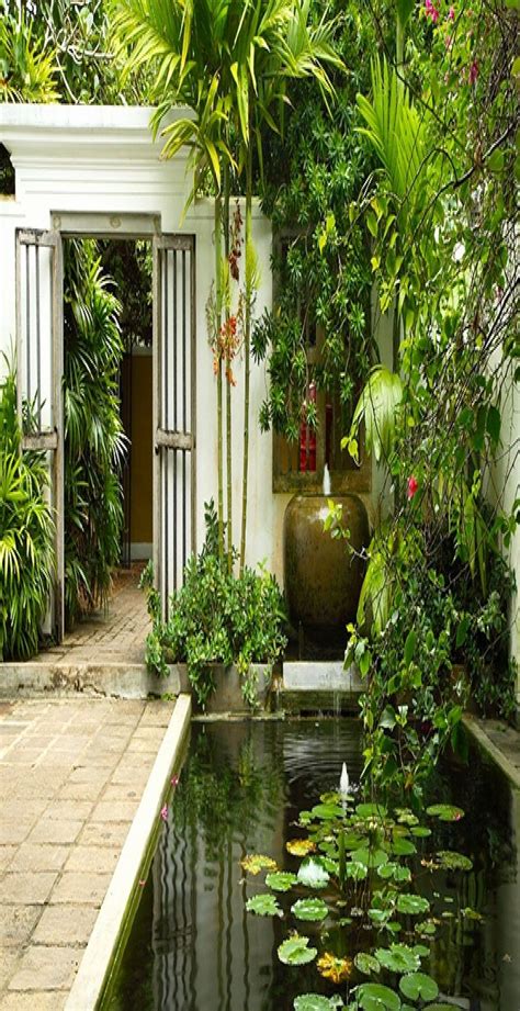 Home Vegetable Garden Ideas In Sri Lanka
