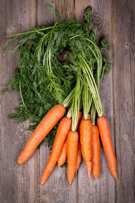 Are Carrots Good For You Healthier Steps