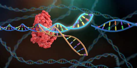 Get Started With Crispr Gene Editing Mechanisms And Considerations