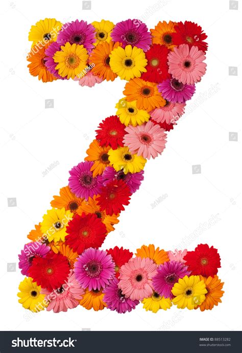 Letter Z Flower Alphabet Isolated On White Background Stock Photo