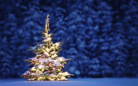 Bilder Neujahr Natur Winter Weihnachtsbaum Schnee Nacht 3840x2400