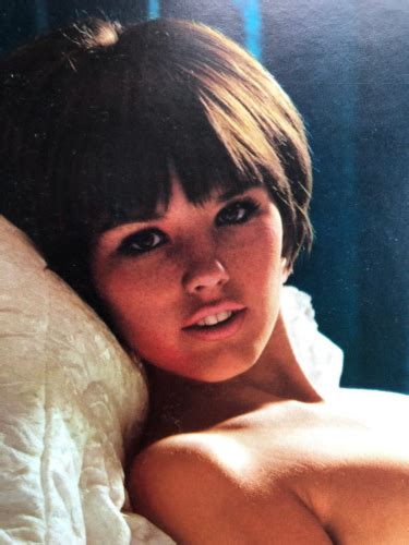 Vintage 1966 Playboy Miss September Dianne Chandler Centerfold And