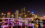 Conheca as regioes da Flórida: Tampa Bay - You S/A