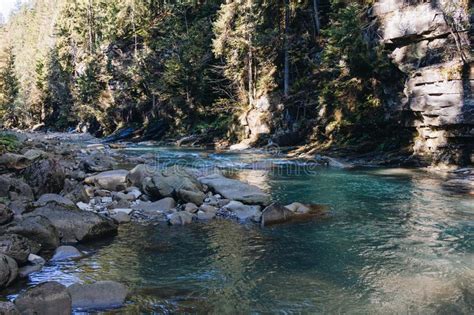 Mountain River Flowing Through The Trees Stock Image Image Of