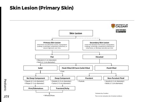 Skin Lesion Primary Skin Blackbook Blackbook