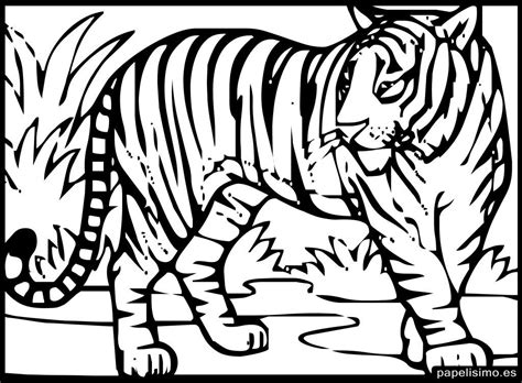 24 animales para colorear para niños PAPELISIMO Tigre para dibujar