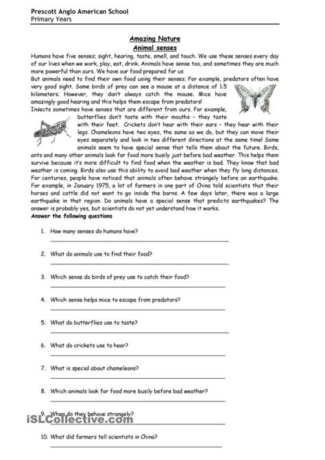 Animal Senses Reading Comprehension Passages Worksheets