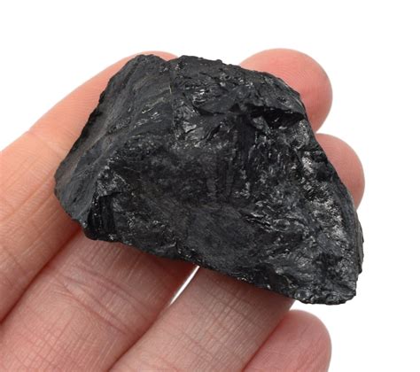 Raw Bituminous Coal Sedimentary Rock Specimen ± 1 Bituminous Coal