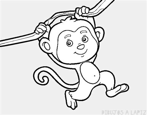 ᐈ Dibujos De Monos【top】monos Lindos Y Faciles
