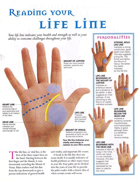 Reading Your Life Line Palm Reading Palmistry Reading Palmistry