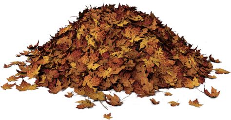 Autumn Leaves Pile Transparent Png Stickpng