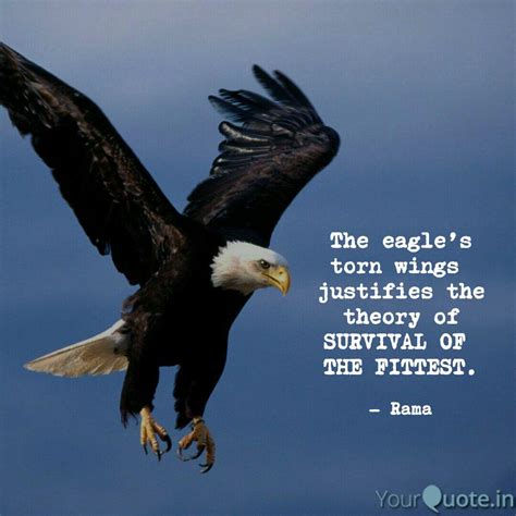 He gives strength to the weary and increases the power of the weak. 21++ Inspirational Quotes With Eagle Pictures - Richi Quote